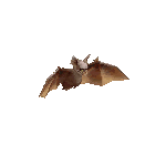 final fantasy iv ds enemy cave bat