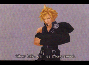 kingdom hearts ii cloud